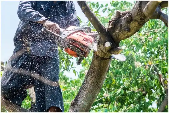 tree services Millington